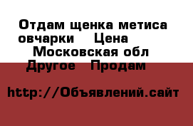 Отдам щенка метиса овчарки. › Цена ­ 100 - Московская обл. Другое » Продам   